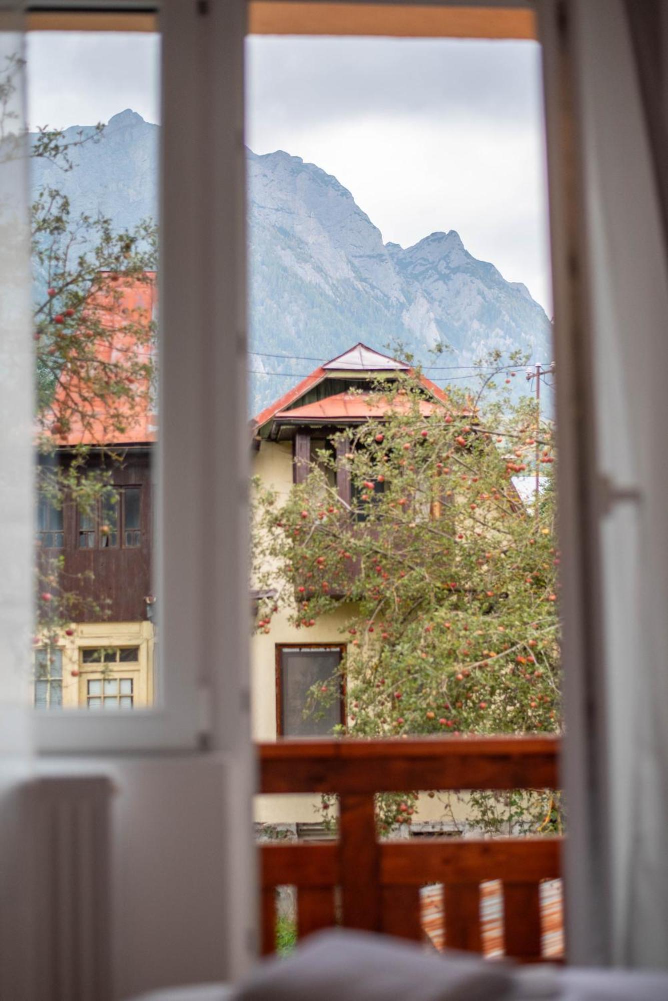 Casa Bucegi Буштени Экстерьер фото